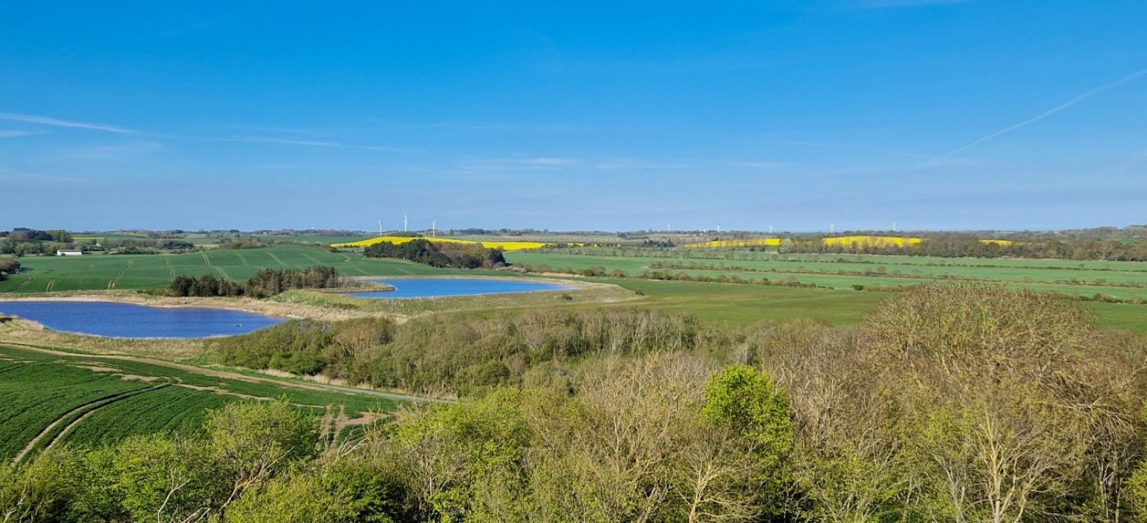 Himmel_landskab_traer_header