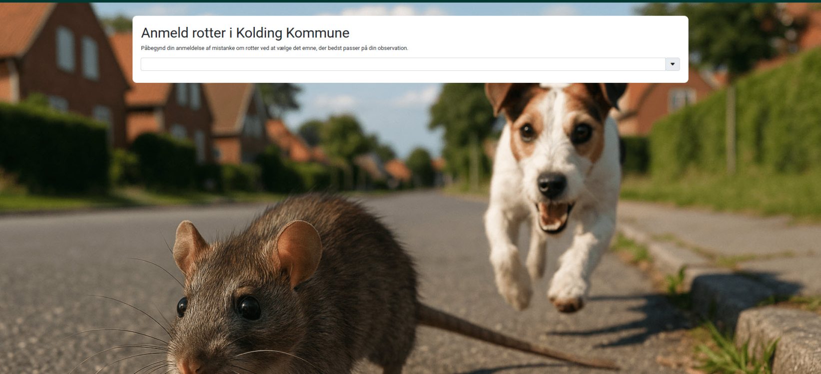 Kolding-Kommune-Public